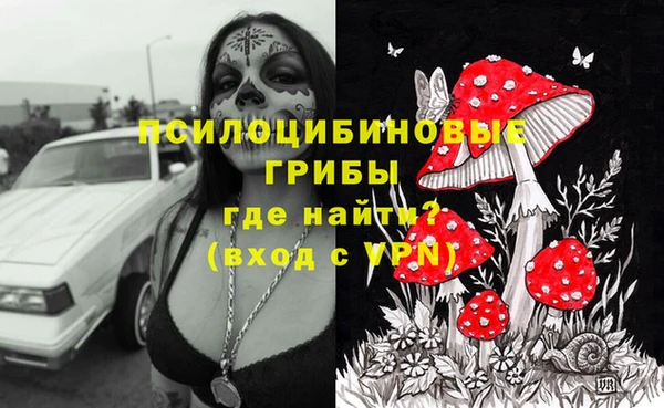 ПСИЛОЦИБИНОВЫЕ ГРИБЫ Алексеевка
