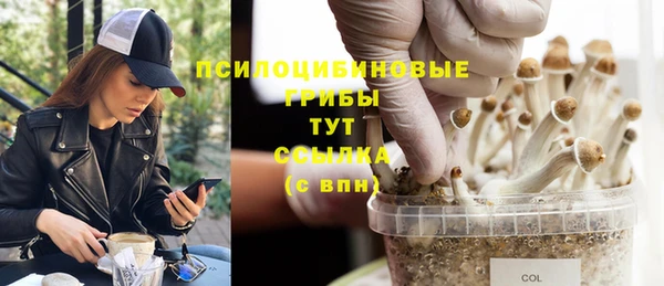 каннабис Алзамай