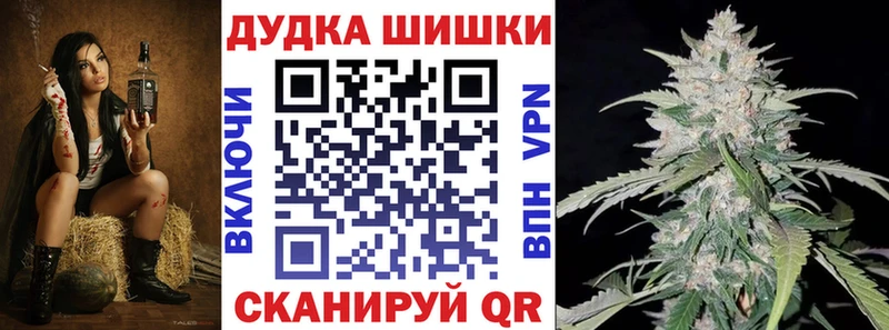 Конопля гибрид  Порхов 